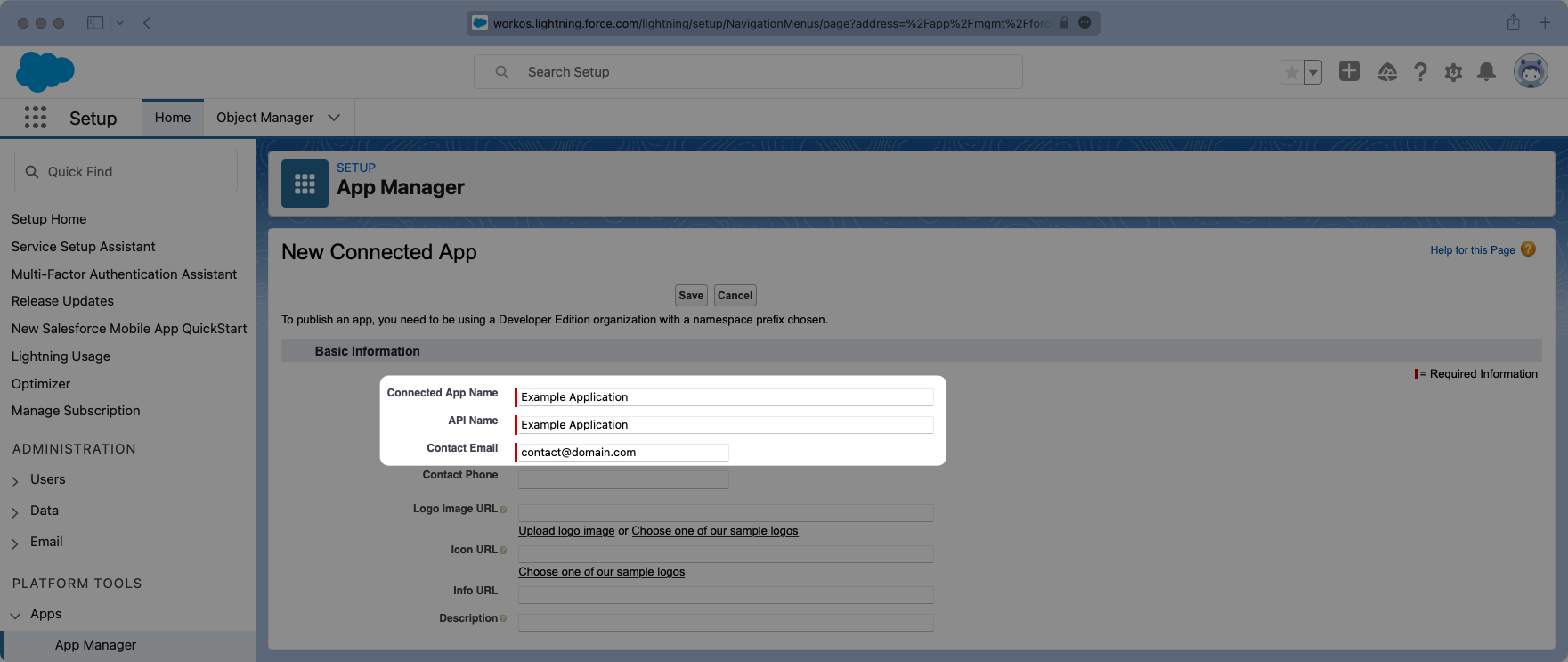 A screenshot showing how to conifgure the name and contact email for the new Connected App in the Salesforce dashboard.