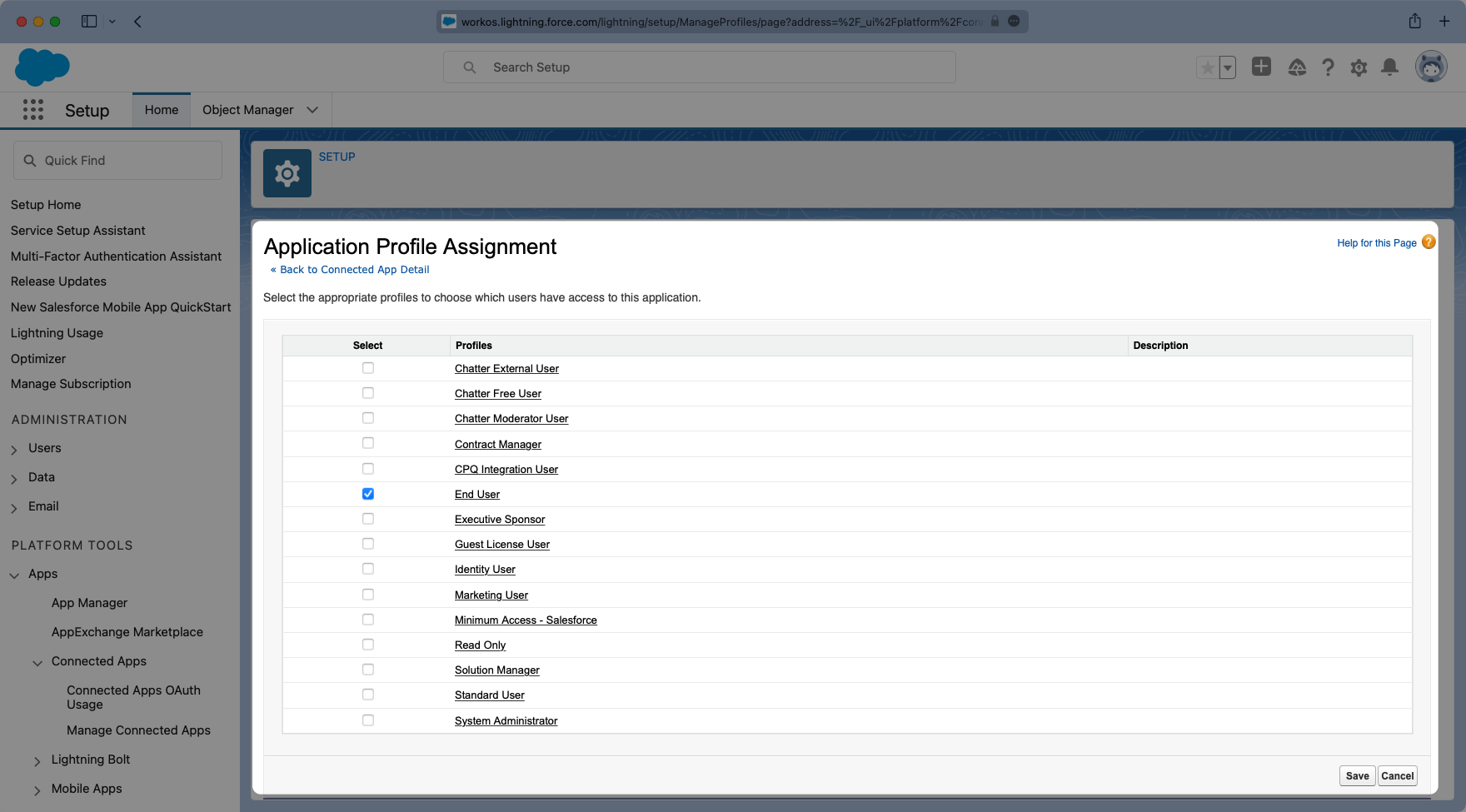 A screenshot showing how to configure the "Application Profile Assignments" in the Salesforce dashboard.