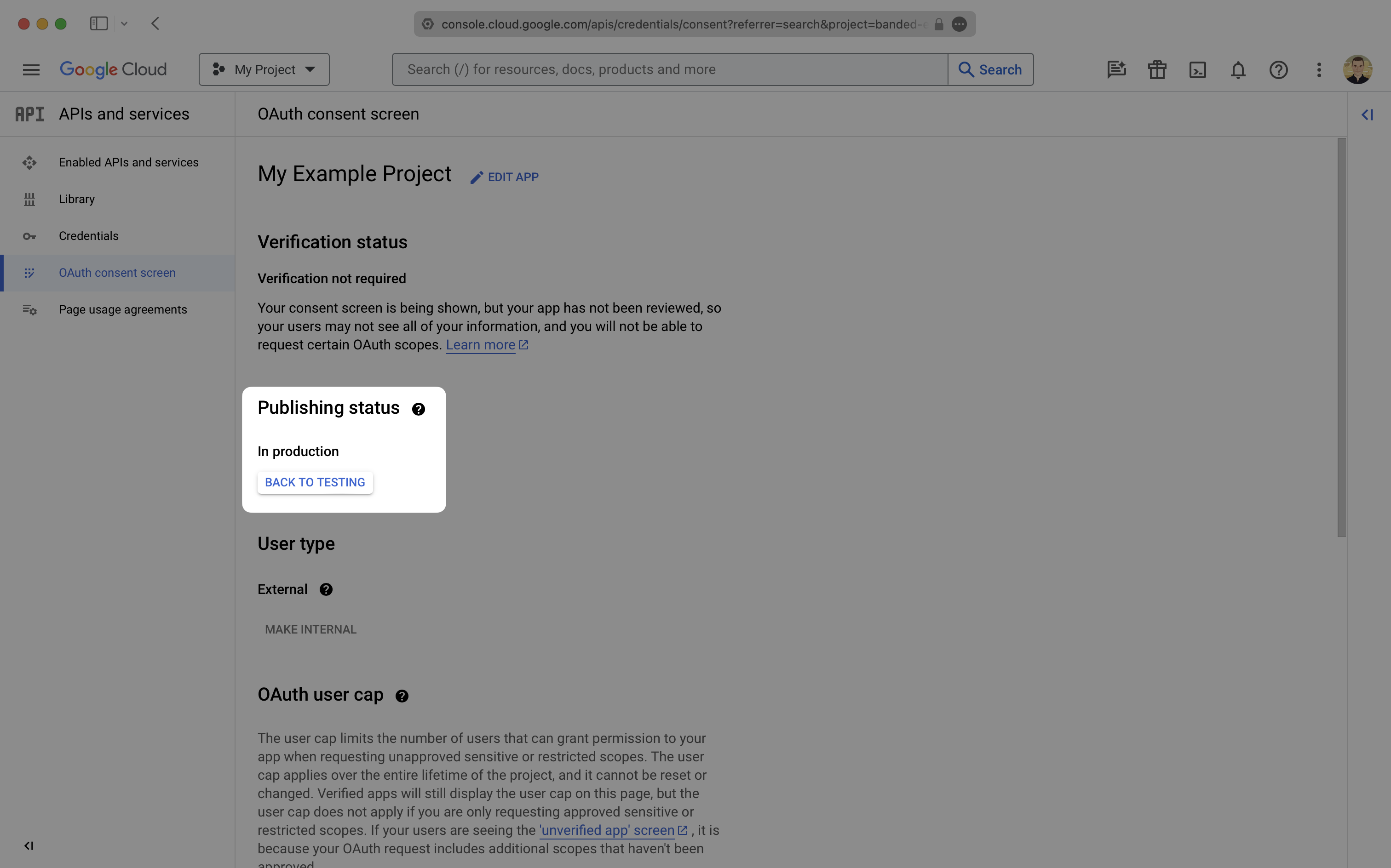 A screenshot showing the publishing status of your Google OAuth application