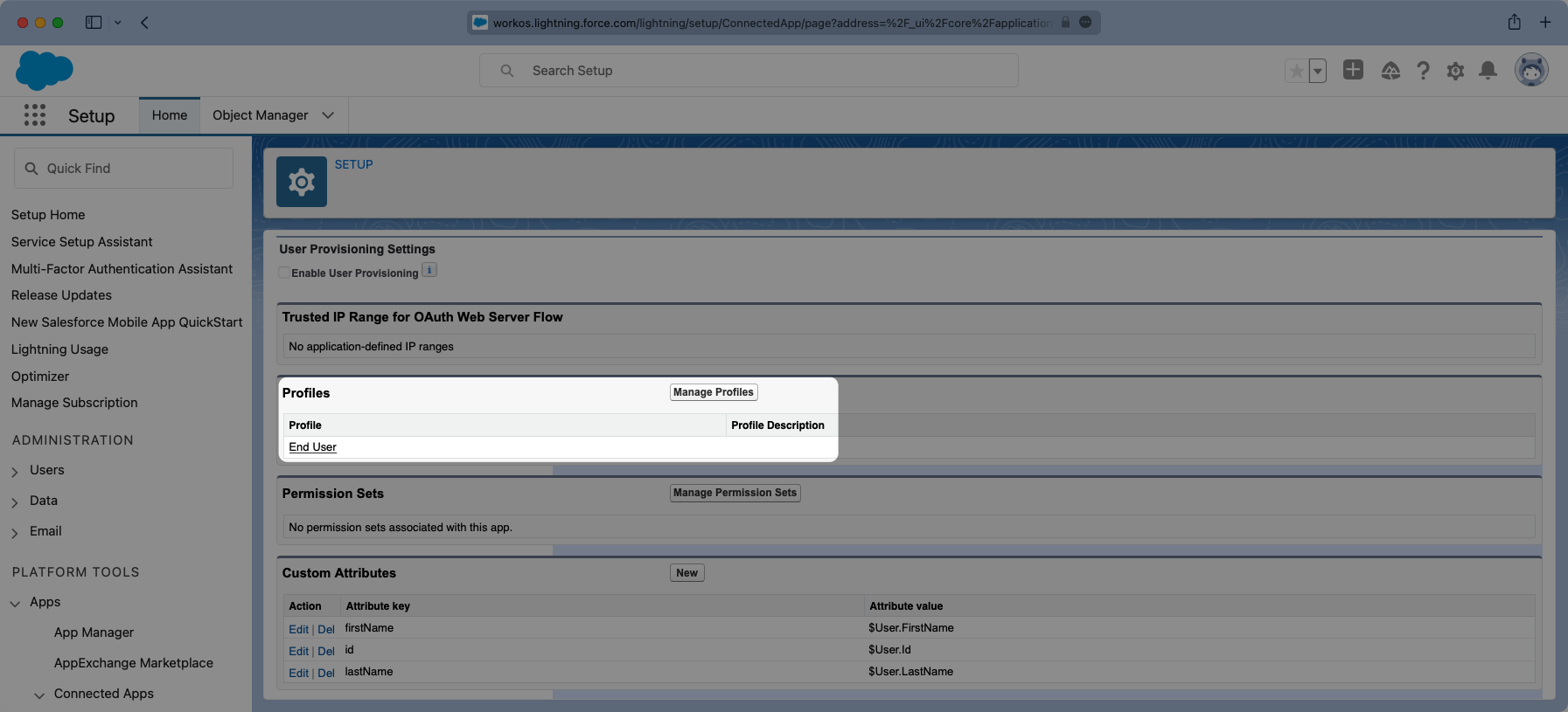 A screenshot showing the completed "Application Profile Assignments" in the Salesforce dashboard.